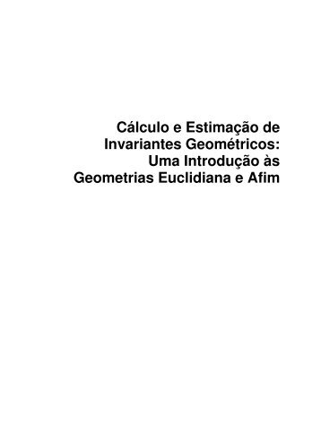 Cálculo e Estimação de Invariantes Geométricos: Uma ... - Impa