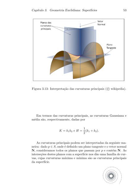 Cálculo e Estimação de Invariantes Geométricos: Uma ... - Impa