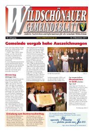(4,99 MB) - .PDF - Gemeinde Wildschönau - Land Tirol