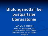 Blutungsnotfall bei postpartaler Uterusatonie PDF-Datei (ca. 148