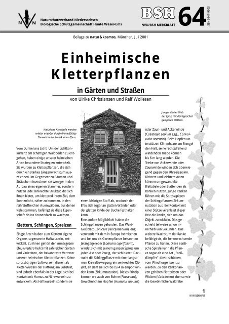 Einheimische Kletterpflanzen Biologische Schutzgemeinschaft