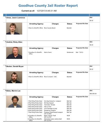 Jail Roster Internet - Goodhue County