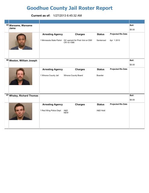 Jail Roster Internet - Goodhue County