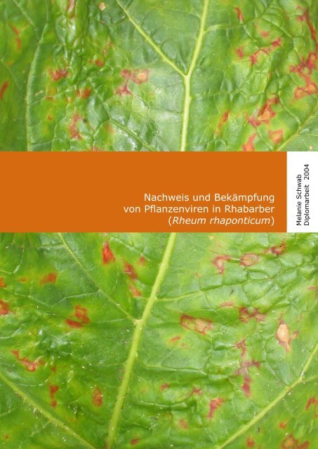 Nachweis und Bekämpfung von Pflanzenviren in Rhabarber ...