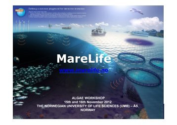 MareLife brief and how we assist the sector preparing for ... - UMB
