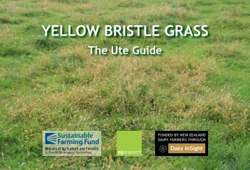 Yellow Bristle Grass - The Ute Guide