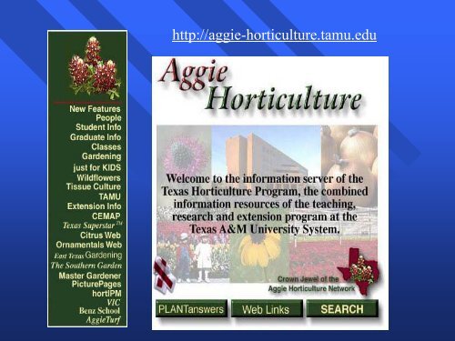 Principles of Propagation by Cuttings Cuttings - Aggie Horticulture ...