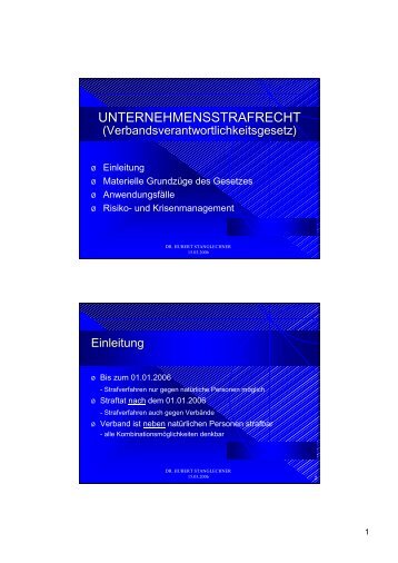 Exkurs Finanzstrafrecht - Raiffeisen