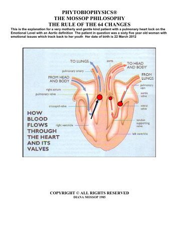 An Explanation of the Heart Lock Map - Diana Mossop