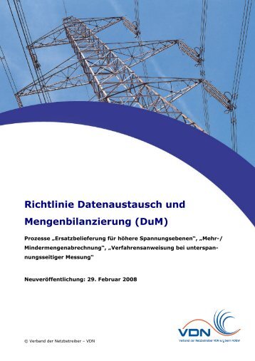 Richtlinie Datenaustausch und Mengenbilanzierung (DuM) - LDEW