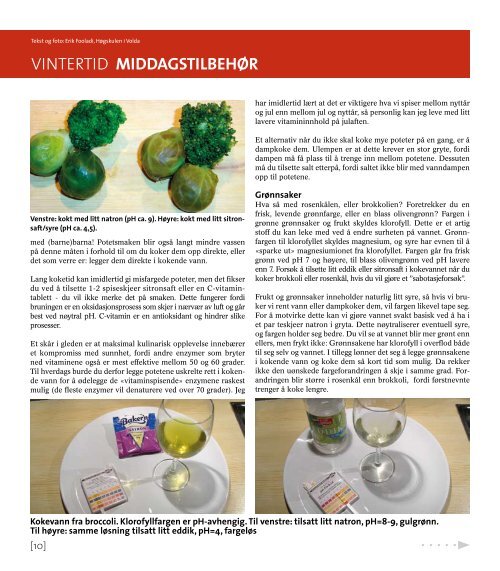 Magasinet Naturfag 2009 - Nasjonalt senter for kunst og kultur i ...