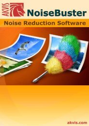 Download PDF AKVIS Noise Buster