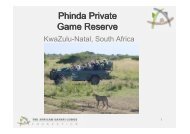 Phinda Private Game Reserve - The African Safari Lodge Foundation