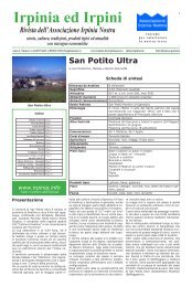 Rivista dell'Associazione Irpinia Nostra San Potito Ultra - Irpinia.biz