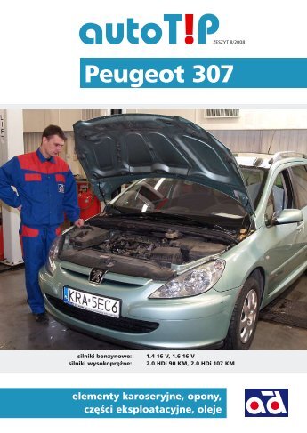 AutoTip nr 8 Peugeot 307 - Diamond Car