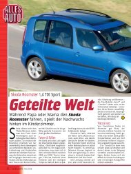 Geteilte Welt - Skoda