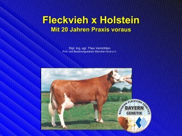 Fleckvieh x Holstein - Besamungsstation München-Grub e.V.