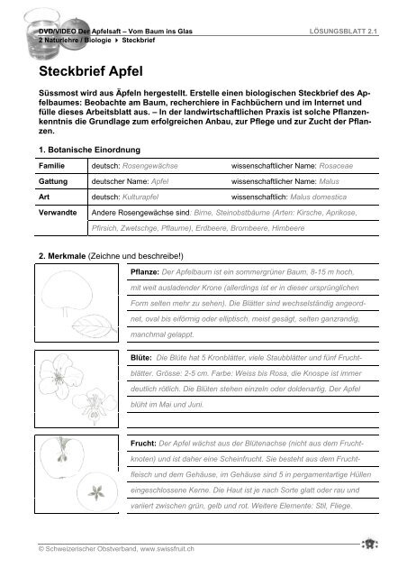Studie Kanu Mangel steckbrief glas Anmerkung Genehmigung Abdomen