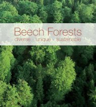 Beech forests - Deutscher Forstwirtschaftsrat
