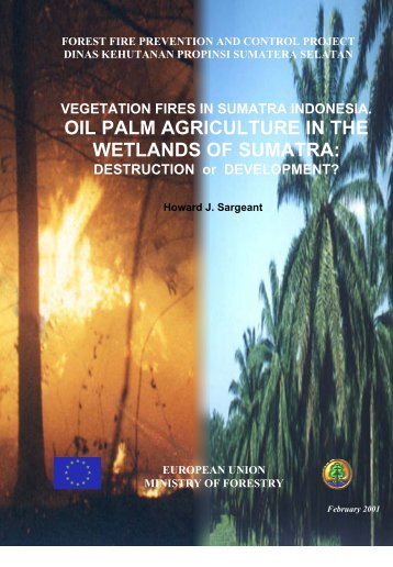 oil palm agriculture in the wetlands of sumatra - The Global Fire ...