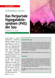 Das Peripartale Hypogalaktie- syndrom (PHS) der Sau - Vetion.de