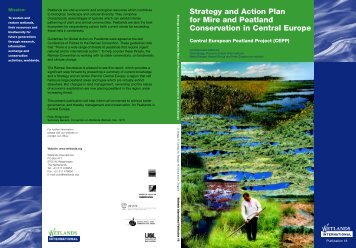Strategy and Action Plan for Mire and Peatland - The Global Fire ...
