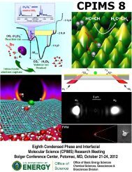 Eighth Condensed Phase and Interfacial Molecular Science (CPIMS)