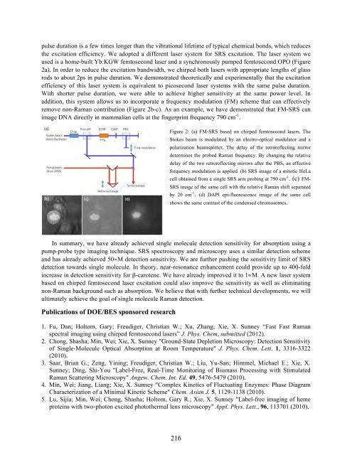 Eighth Condensed Phase and Interfacial Molecular Science (CPIMS)