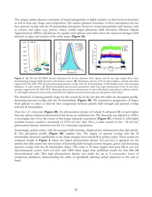 Eighth Condensed Phase and Interfacial Molecular Science (CPIMS)