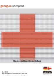 georgien kompakt Gesundheitssektor - DWVG