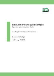 Erneuerbare Energien kompakt - Ergebnisse ... - Biotechnologie.de