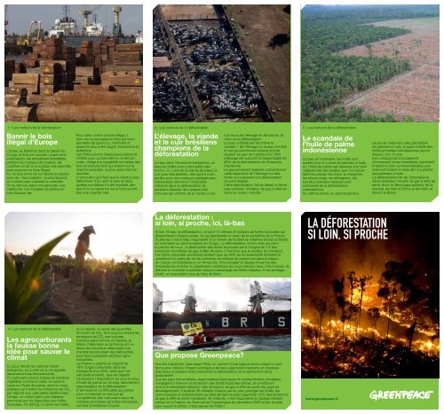 La déforestation : si loin, si proche, ici, là-bas - Greenpeace