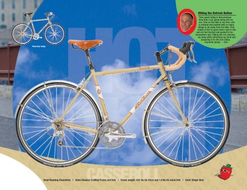 2007 Catalog - Salsa Cycles