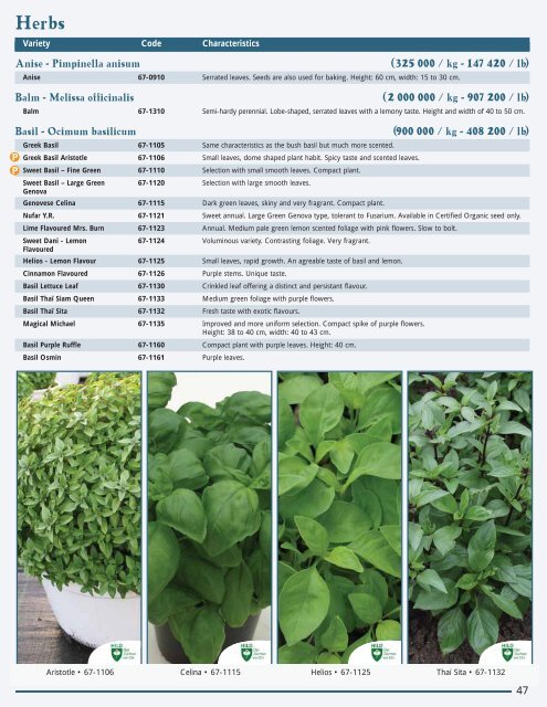 Anise Pimpinella anisum 325 000 kg 147 420 lb Norseco
