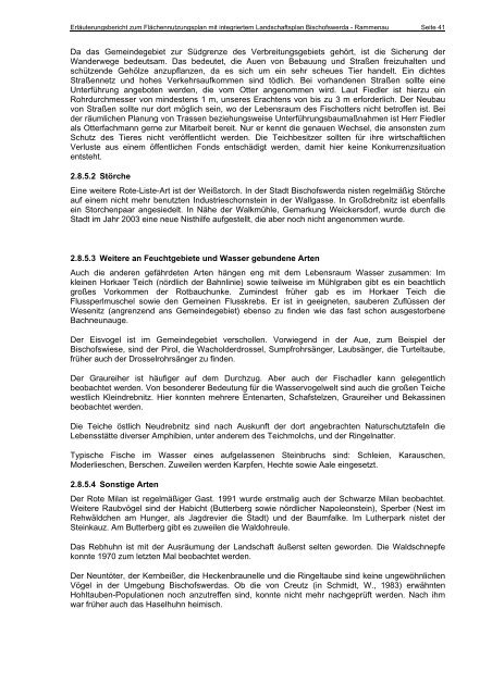 FNP 2006 Erlaeuterungsbericht.pdf