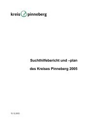 Suchthilfebericht und –plan des Kreises Pinneberg - Kreis Pinneberg