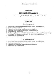 Vorlage_GV_09.06.2010 [PDF, 147 KB] - Birrwil