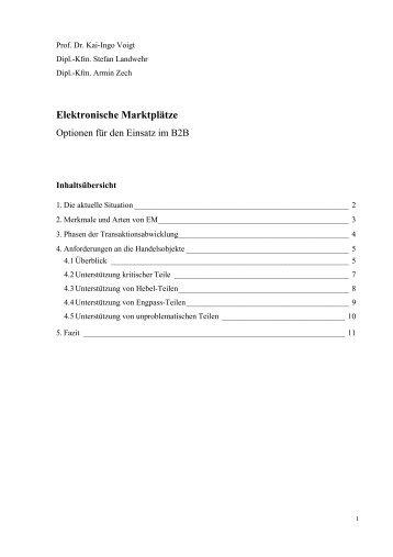 Elektronische Marktplätze - Optionen für den Einsatz im B2B