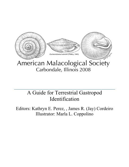 A Guide for Terrestrial Gastropod Identification - University of ...