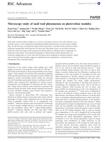 Microscopy Study of Snail Trail Phenomenon on Photovoltaic