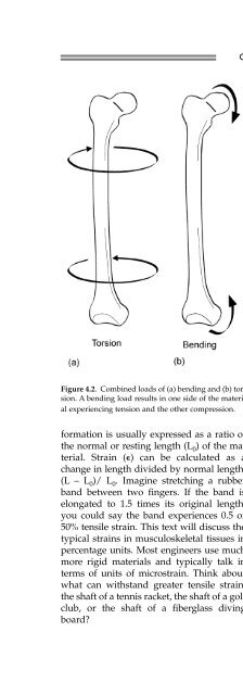 Fundamentals of Biomechanics