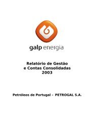 Petróleos de Portugal - Petrogal, SA - CMVM