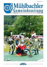 (1,65 MB) - .PDF - Mühlbachl - Land Tirol