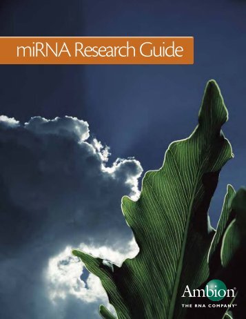 miRNA Research Guide - Applied Biosystems