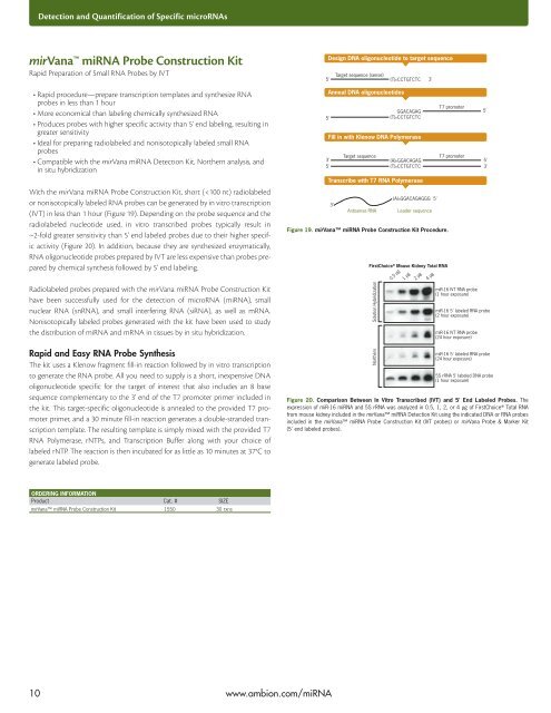 miRNA Research Guide - Applied Biosystems