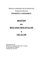 MASTER en BIOLOGIA MOLECULAR y CELULAR - Facultad de ...