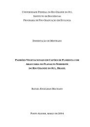 universidade federal do rio grande do sul instituto - Ecologia ...