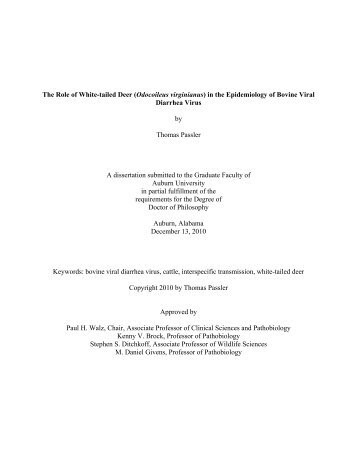 Dissertation T Passler 12-2-10.pdf - Auburn University Electronic ...