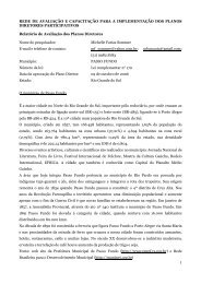 Relatório Municipal 24 - PASSO FUNDO - Michelle Farias