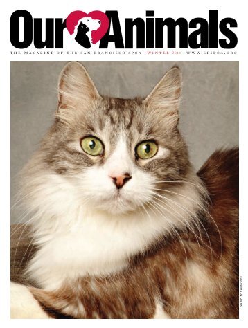 the magazine of the san francisco spca winter 2011 www.sfspca.org